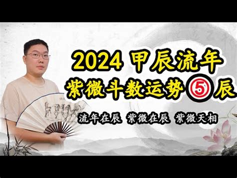 2024 紫微